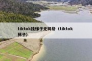 tiktok挂梯子无网络（tiktok 梯子）