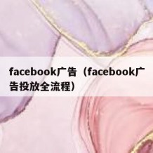 facebook广告（facebook广告投放全流程）