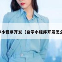 自学小程序开发（自学小程序开发怎么样）