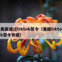 美国通过tiktok禁令（美国tiktok禁令依据）