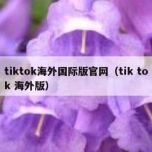 tiktok海外国际版官网（tik tok 海外版）