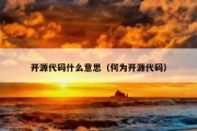 开源代码什么意思（何为开源代码）