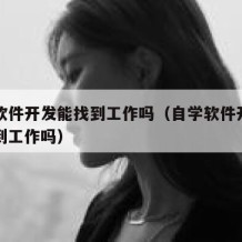 自学软件开发能找到工作吗（自学软件开发可以找到工作吗）