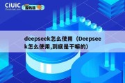 deepseek怎么使用（Deepseek怎么使用,到底是干嘛的）