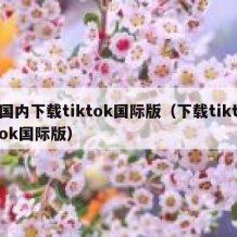 国内下载tiktok国际版（下载tiktok国际版）