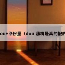 dou+涨粉量（dou 涨粉是真的假的）