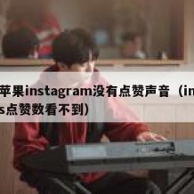 苹果instagram没有点赞声音（ins点赞数看不到）