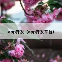 app开发（app开发平台）