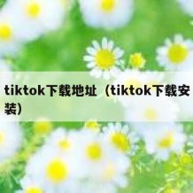 tiktok下载地址（tiktok下载安装）