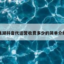 巢湖抖音代运营收费多少的简单介绍