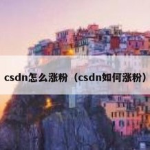 csdn怎么涨粉（csdn如何涨粉）