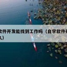 自学软件开发能找到工作吗（自学软件开发需要多久）