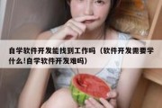 自学软件开发能找到工作吗（软件开发需要学什么!自学软件开发难吗）