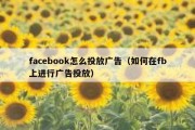 facebook怎么投放广告（如何在fb上进行广告投放）