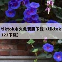 tiktok永久免费版下载（tiktok122下载）