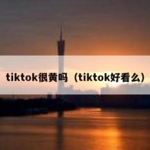 tiktok很黄吗（tiktok好看么）