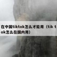 在中国tiktok怎么才能用（tik tok怎么在国内用）