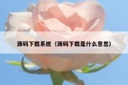 源码下载系统（源码下载是什么意思）