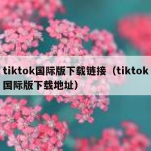 tiktok国际版下载链接（tiktok国际版下载地址）