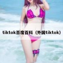 tiktok百度百科（外国tiktok）