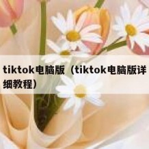 tiktok电脑版（tiktok电脑版详细教程）