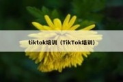 tiktok培训（TikTok培训）