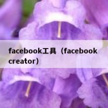 facebook工具（facebook creator）