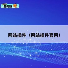 网站插件（网站插件官网）