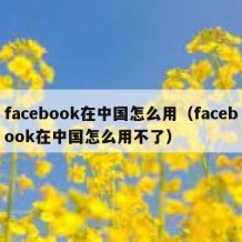 facebook在中国怎么用（facebook在中国怎么用不了）