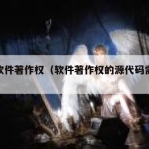 开源软件著作权（软件著作权的源代码需要运行吗）