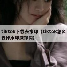 tiktok下载去水印（tiktok怎么去掉水印威锋网）