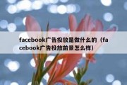 facebook广告投放是做什么的（facebook广告投放前景怎么样）