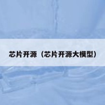 芯片开源（芯片开源大模型）