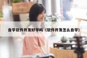 自学软件开发好学吗（软件开发怎么自学）