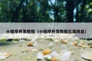 小程序开发教程（小程序开发教程百度网盘）