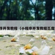 小程序开发教程（小程序开发教程百度网盘）