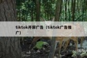 tiktok开屏广告（tiktok广告推广）