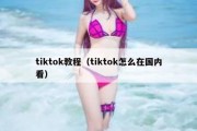 tiktok教程（tiktok怎么在国内看）