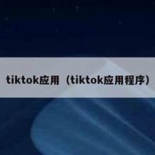 tiktok应用（tiktok应用程序）