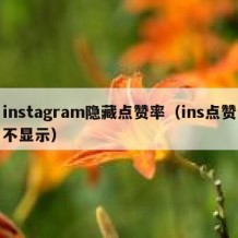 instagram隐藏点赞率（ins点赞不显示）