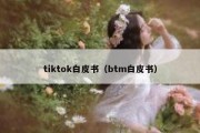 tiktok白皮书（btm白皮书）