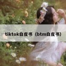 tiktok白皮书（btm白皮书）