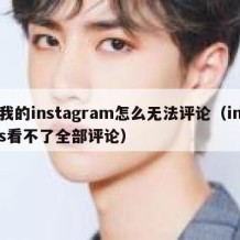 我的instagram怎么无法评论（ins看不了全部评论）