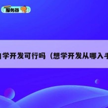 自学开发可行吗（想学开发从哪入手）