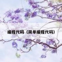 编程代码（简单编程代码）