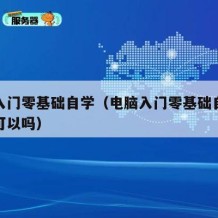 电脑入门零基础自学（电脑入门零基础自学打五笔可以吗）