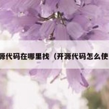 开源代码在哪里找（开源代码怎么使用）