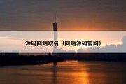 源码网站取名（网站源码官网）