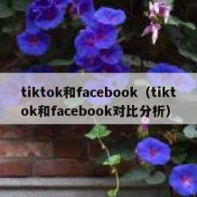 tiktok和facebook（tiktok和facebook对比分析）