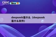 deepseek是什么（deepseek是什么软件）